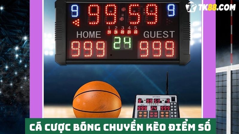 Cá cược bóng chuyền TK88 kèo tổng điểm