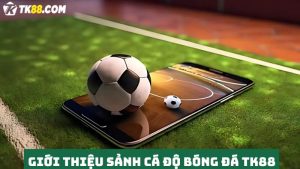 Cá độ bóng đá TK88