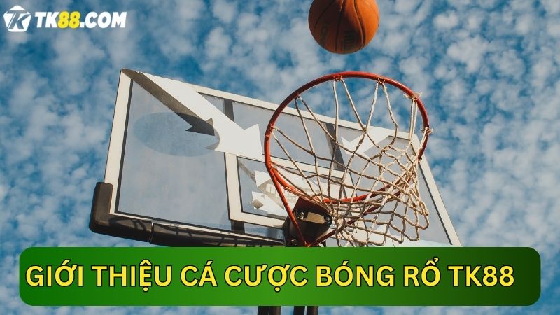 cá cược bóng rổ TK88