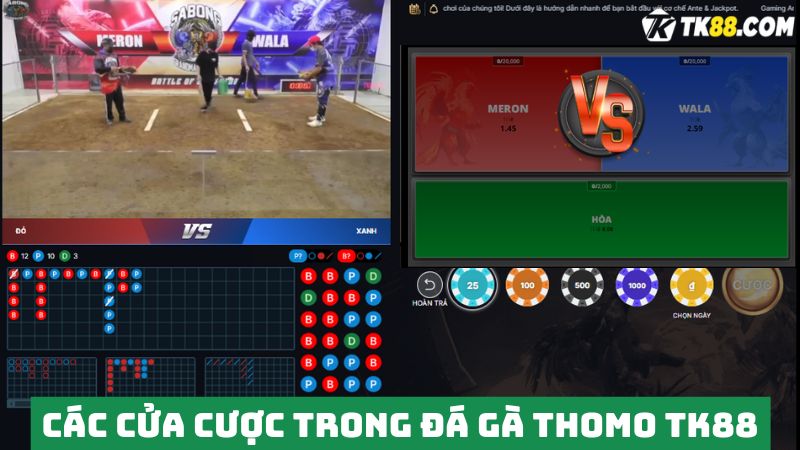 Hệ thống cửa cược trong đá gà Thomo 