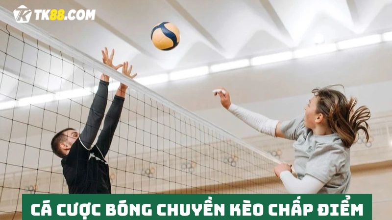 Cá cược bóng chuyền TK88 Kèo cược chấp