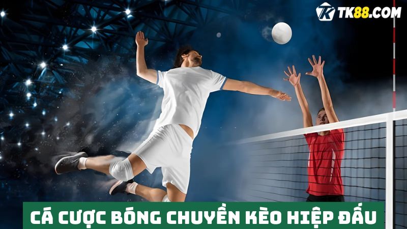 Tham gia Cá cược bóng chuyền TK88 